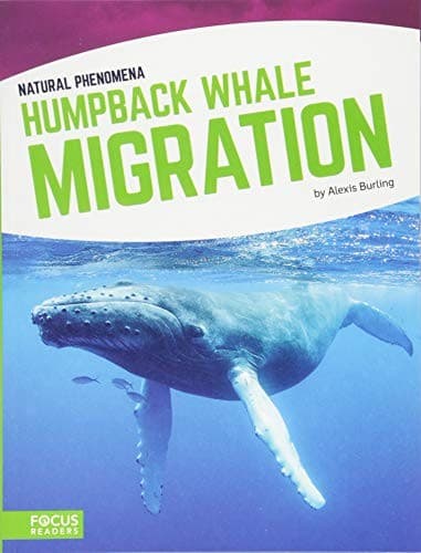 Cover image for Humpback Whale Migration