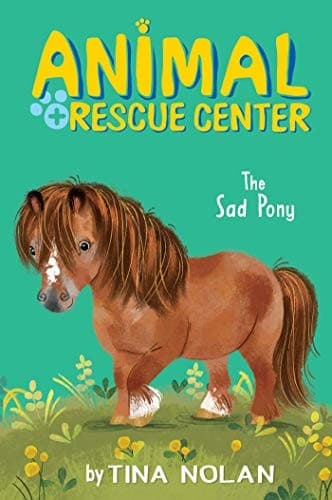 Cover image for The Sad Pony