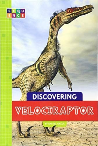 Cover image for Discovering Velociraptor