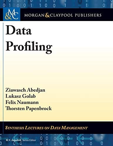 Cover image for Data Profiling