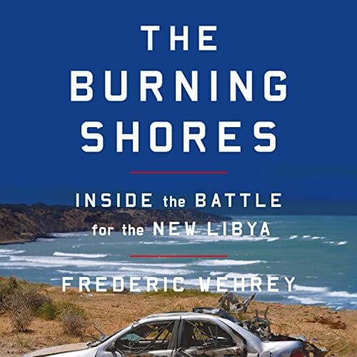 Cover image for The Burning Shores