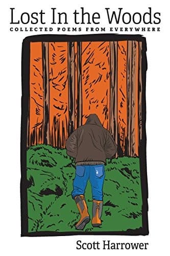Cover image for Lost In the Woods