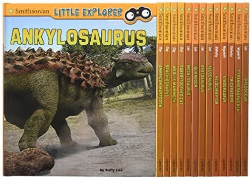 Cover image for Little Paleontologist