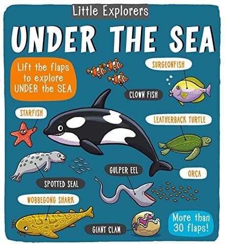 Cover image for Little Explorers
