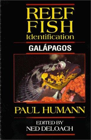 Cover image for Reef Fish Identification