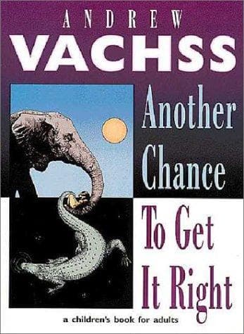 Cover image for Another Chance to Get It Right