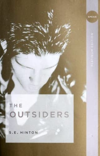 Cover image for The Outsiders
