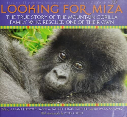 Cover image for Looking for Miza