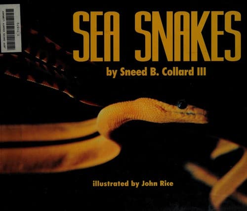 Cover image for Sea snakes