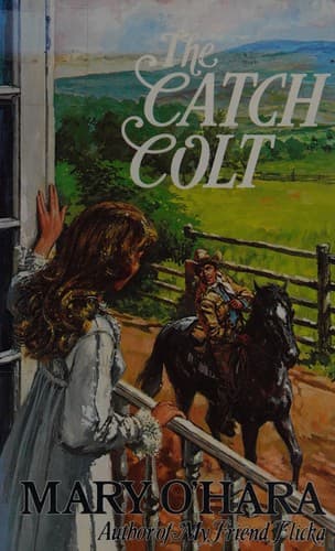 Cover image for The catch colt