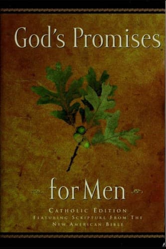 Cover image for God's Promises for Men