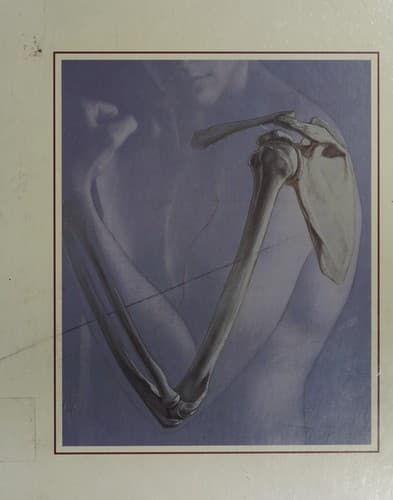 Cover image for Human anatomy