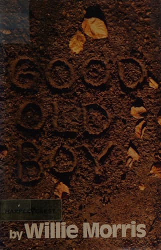 Cover image for Good old boy
