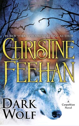 Cover image for Dark Wolf
