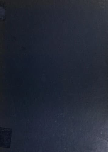 Cover image for The Jewish World