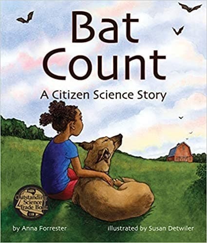 Cover image for Bat Count