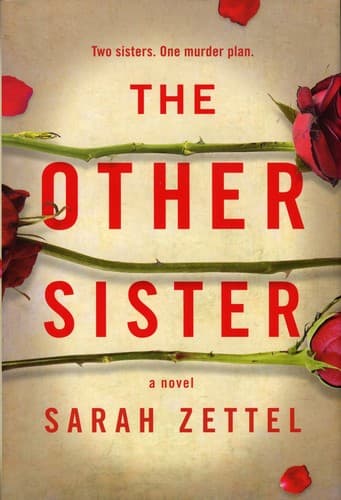 Cover image for The Other Sister