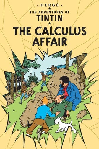 Cover image for The calculus affair