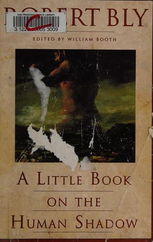 Cover image for A little book on the human shadow