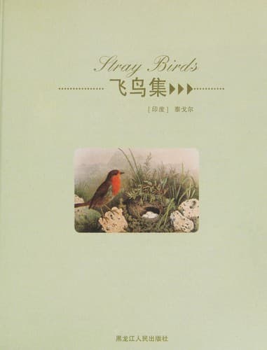 Cover image for Fei niao ji