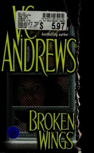 Cover image for Broken wings
