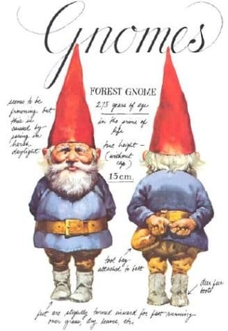 Cover image for Gnomes