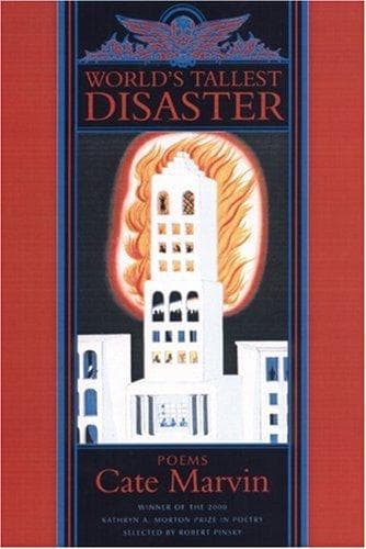 Cover image for World's Tallest Disaster