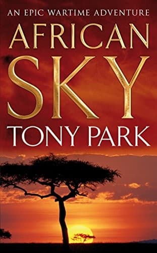 Cover image for African Sky