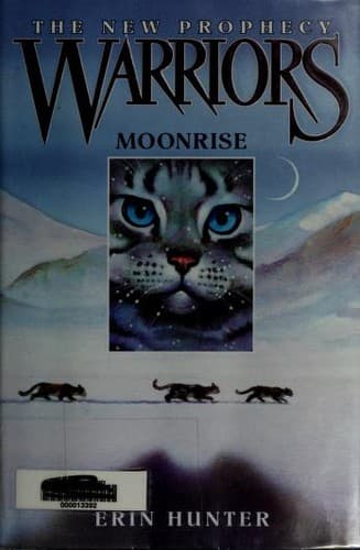Cover image for Moonrise