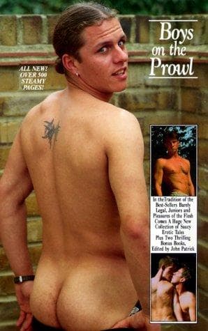 Cover image for Boys on the Prowl