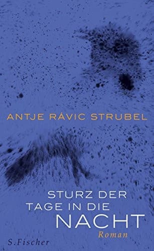Cover image for Sturz der Tage in die Nacht
