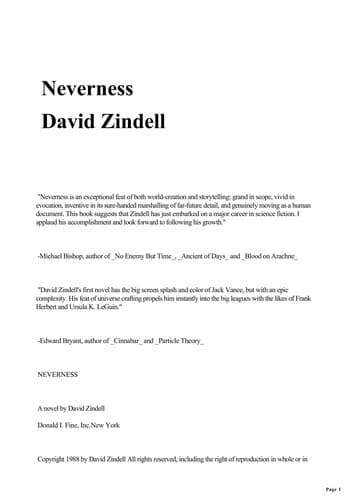 Cover image for Neverness