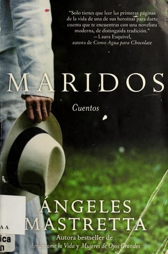 Cover image for Maridos