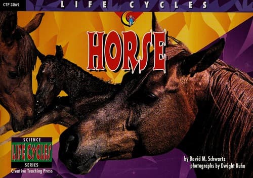 Cover image for Horse (Life Cycles)