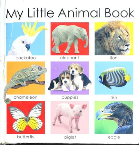 Cover image for My little animal book