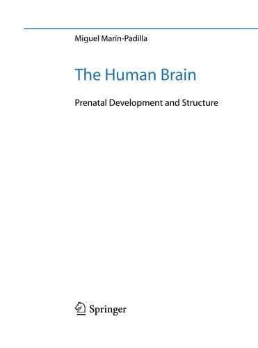 The Human Brain