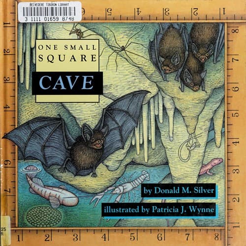 Cover image for Cave