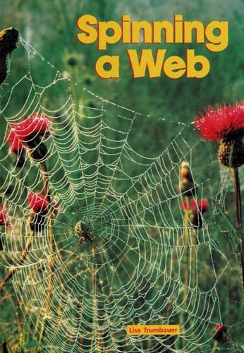 Cover image for Spinning a Web