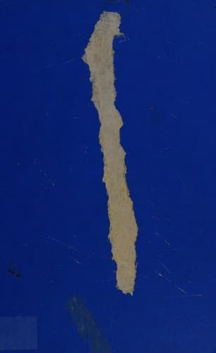 Cover image for Life in Nelson's Navy