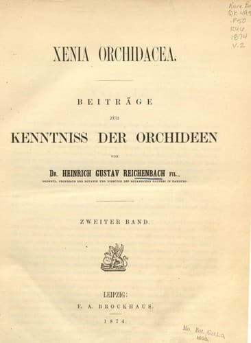 Xenia orchidacea