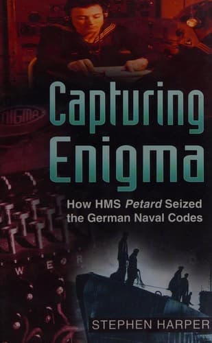 Cover image for Capturing enigma