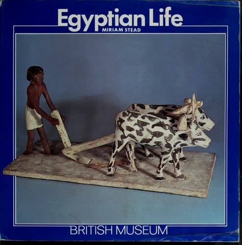 Cover image for Egyptian life