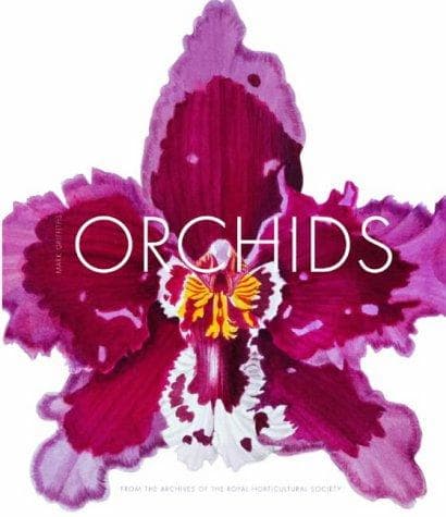 Cover image for Orchids