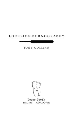 Cover image for Lockpick pornography