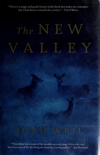 Cover image for The new valley