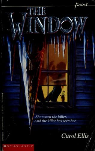 Cover image for The Window