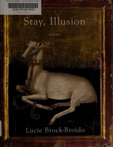 Cover image for Stay, illusion