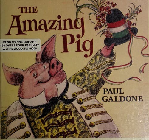 Cover image for The amazing pig
