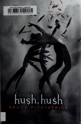 Cover image for Hush, hush