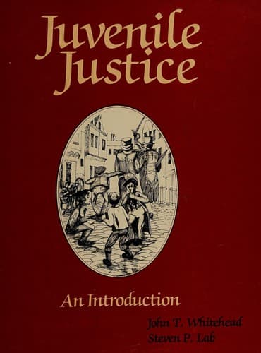 Cover image for Juvenile justice
